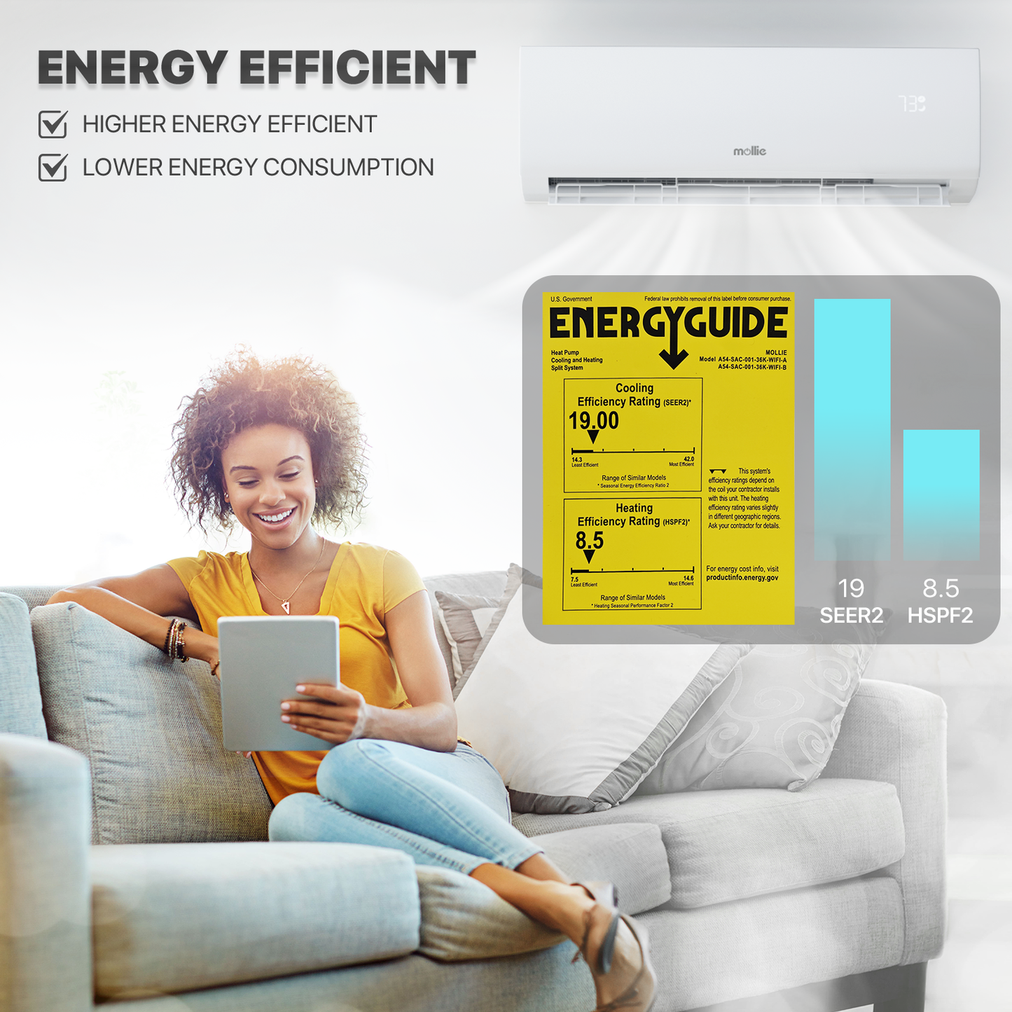 36000 BTU Split Air Conditioner - Cooling & Heating Function- WIFI APP Control - 4-in-1 filter