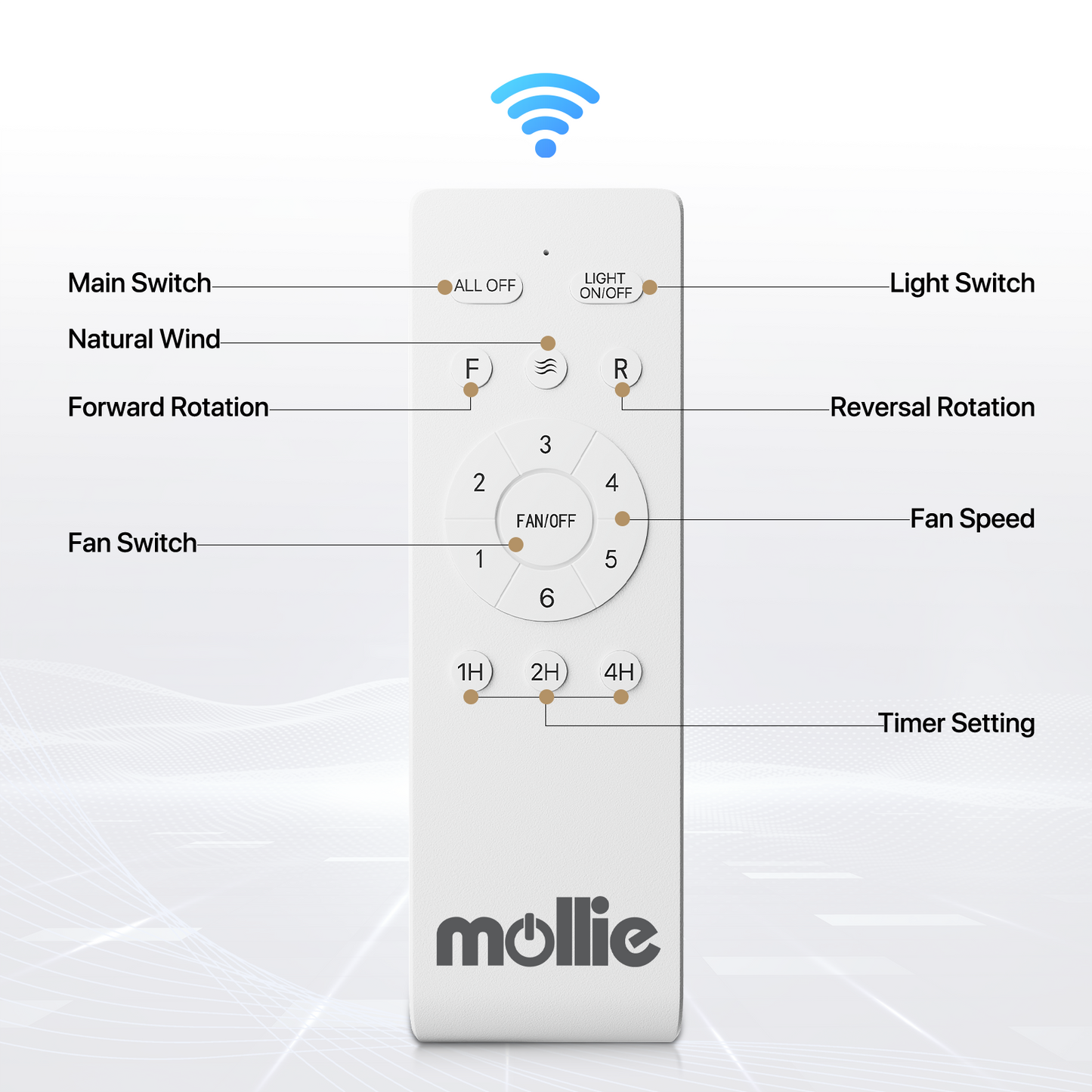 22" RGB Lighting Ceiling Fan - App Control+Remote Control - Bluetooth Speaker