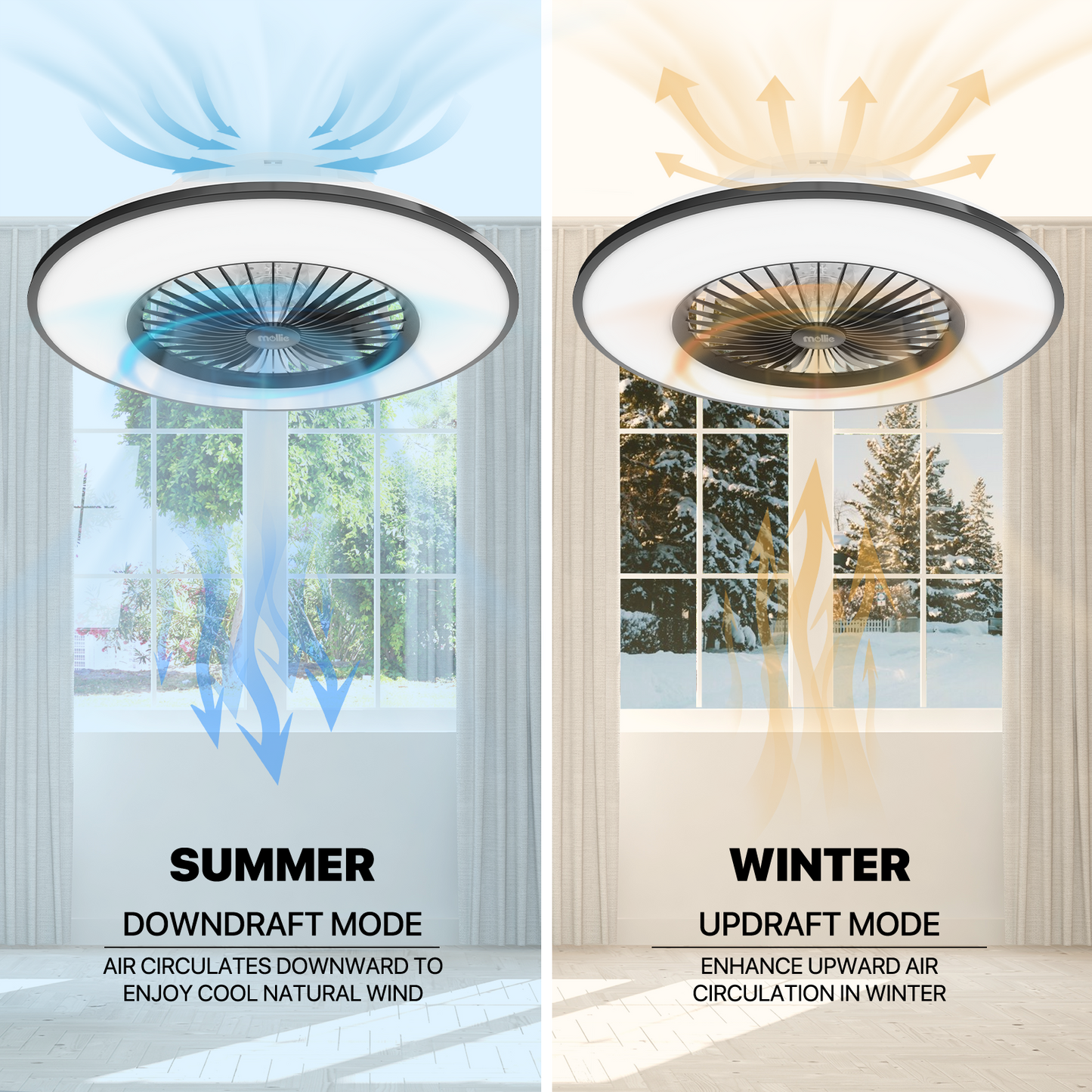 22" RGB Lighting Ceiling Fan - App Control+Remote Control - Bluetooth Speaker