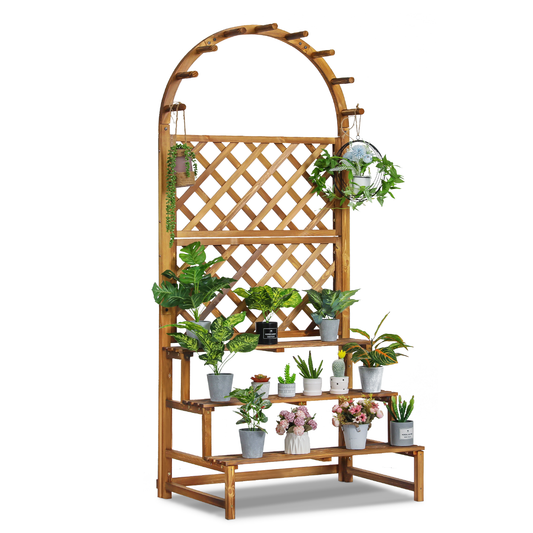 Wooden Trellis Display Stair Shelf - Arch with Hooks - 3 Tier - Carbonized