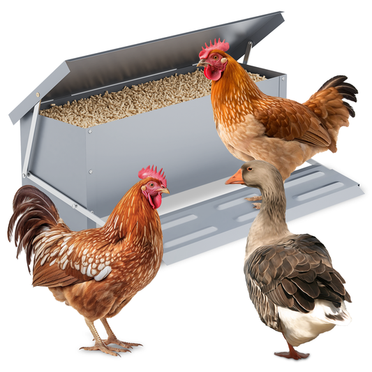 Automatic Chicken Feeder - 22 LBS Capacity - Silver