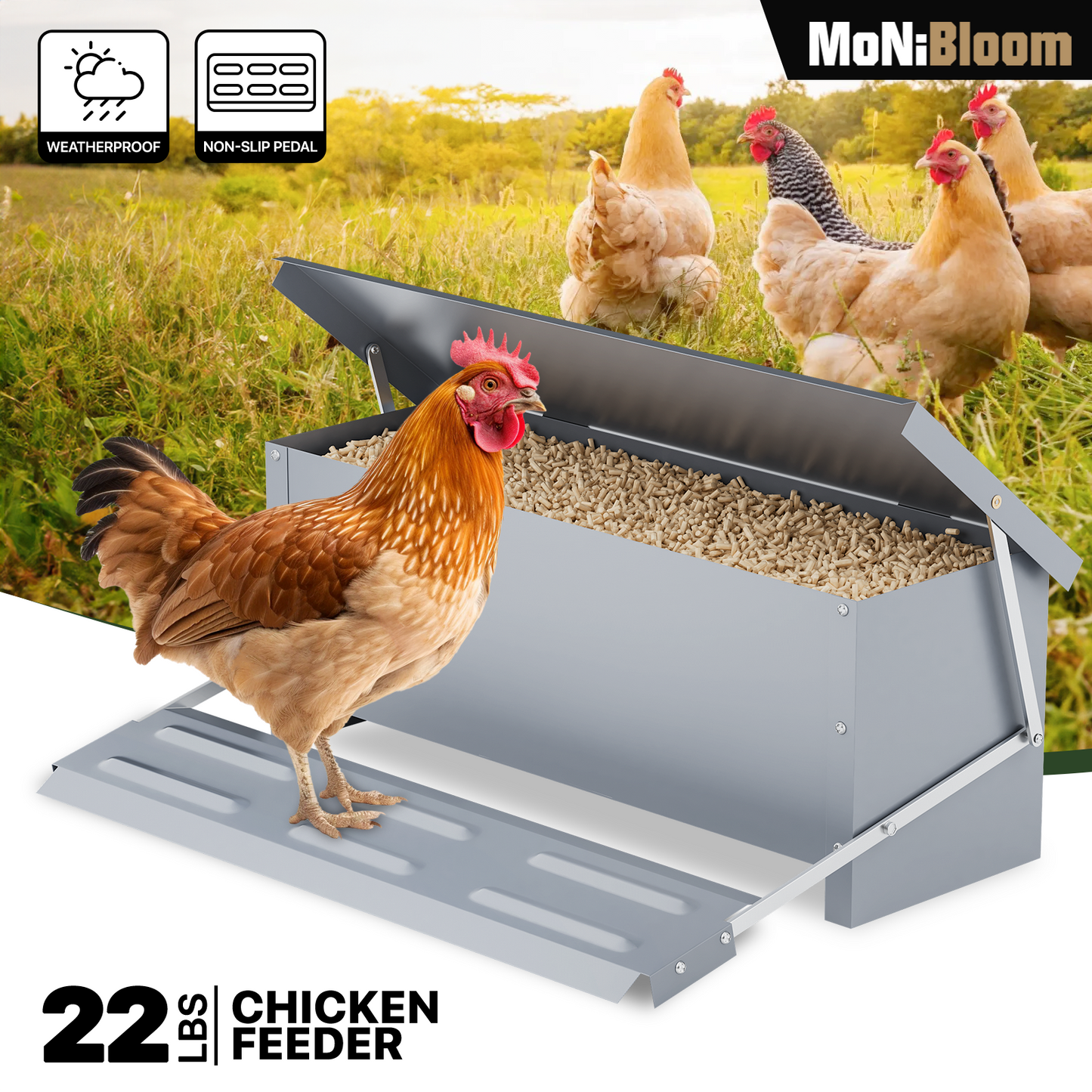 Automatic Chicken Feeder - 22 LBS Capacity - Silver