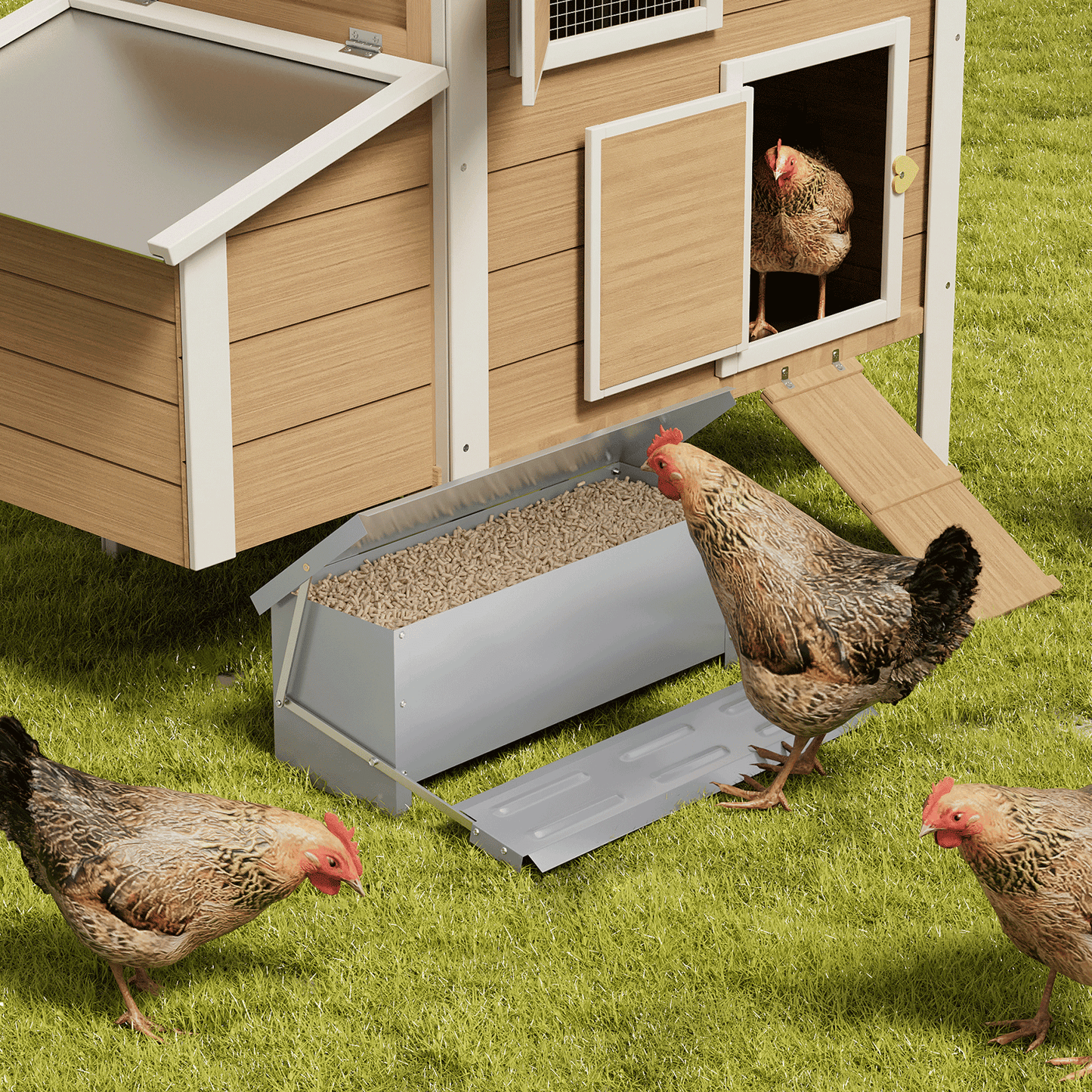 Automatic Chicken Feeder - 22 LBS Capacity - Silver