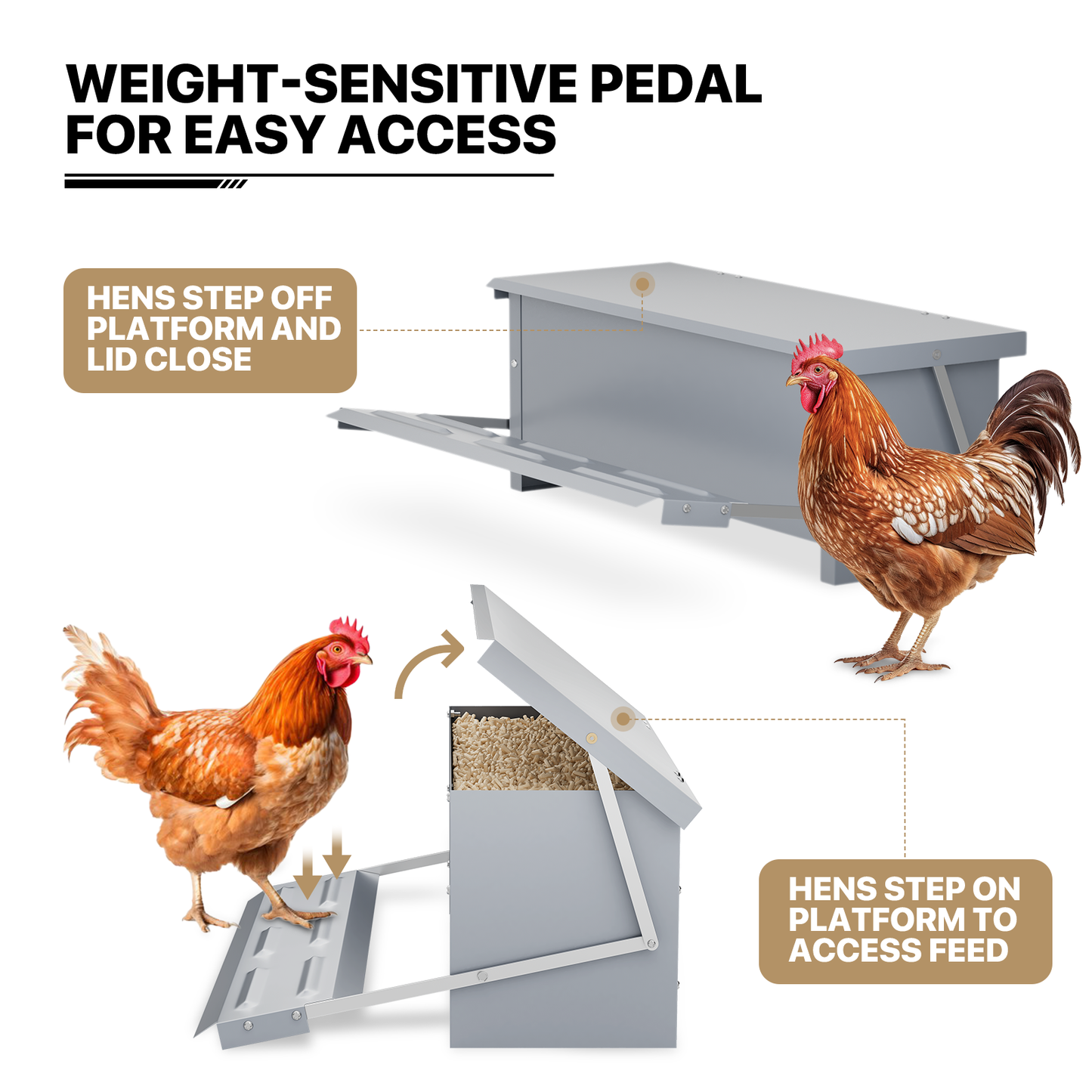 Automatic Chicken Feeder - 22 LBS Capacity - Silver