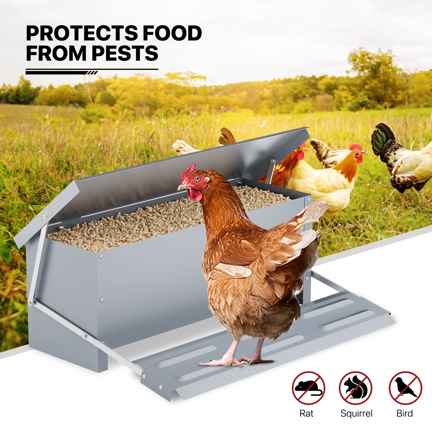 Automatic Chicken Feeder - 22 LBS Capacity - Silver