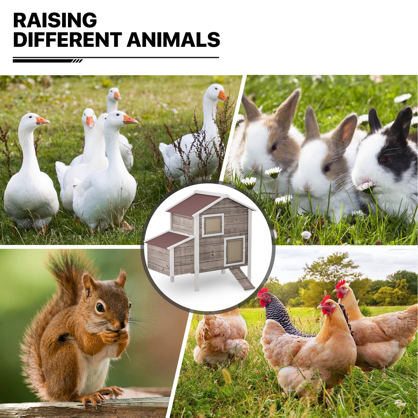 Wooden Chicken Coop with Removable Tray+Ventilation Door+Nesting Box