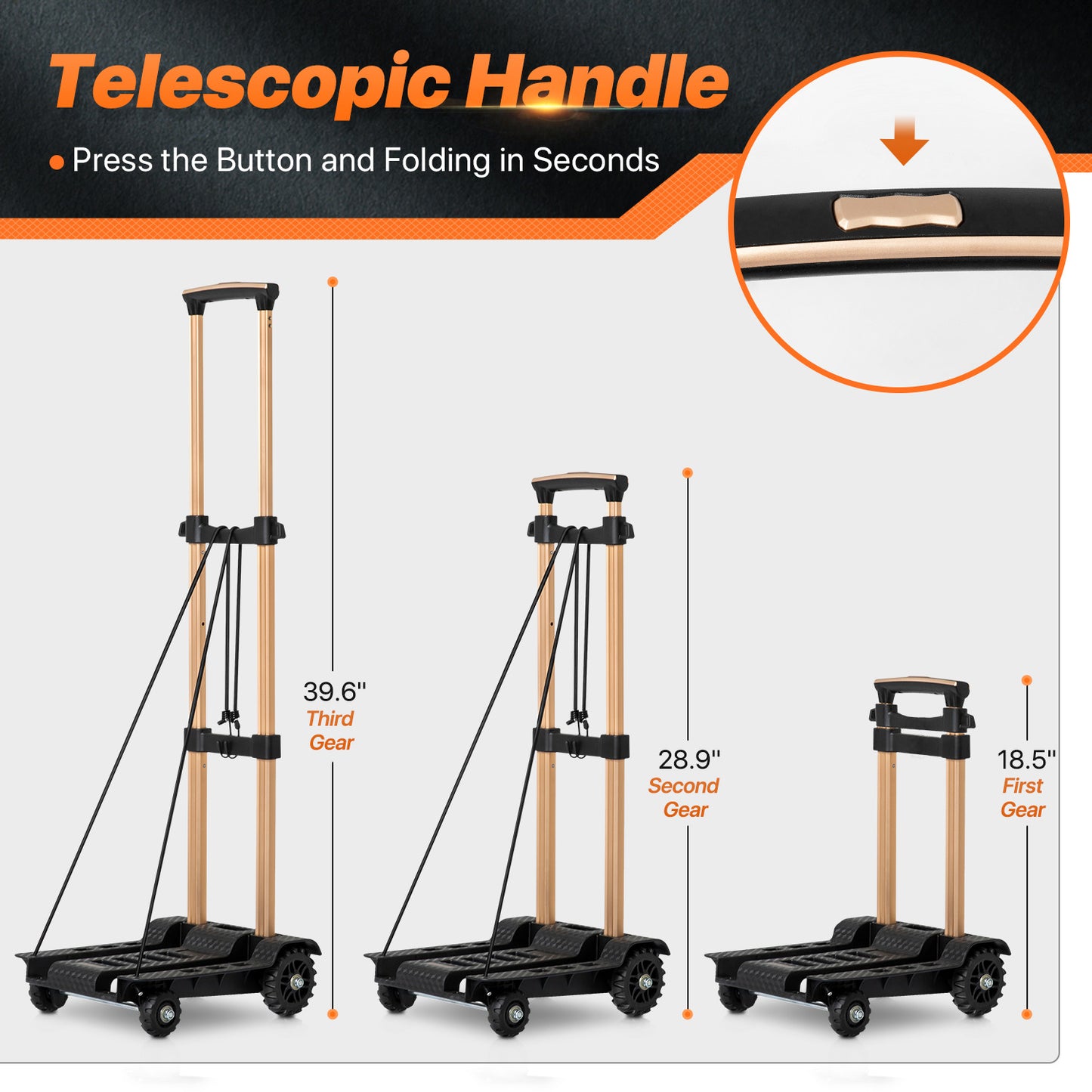 Folding Trolley w/Detachable Bag & Belt - Rigid Front Wheel