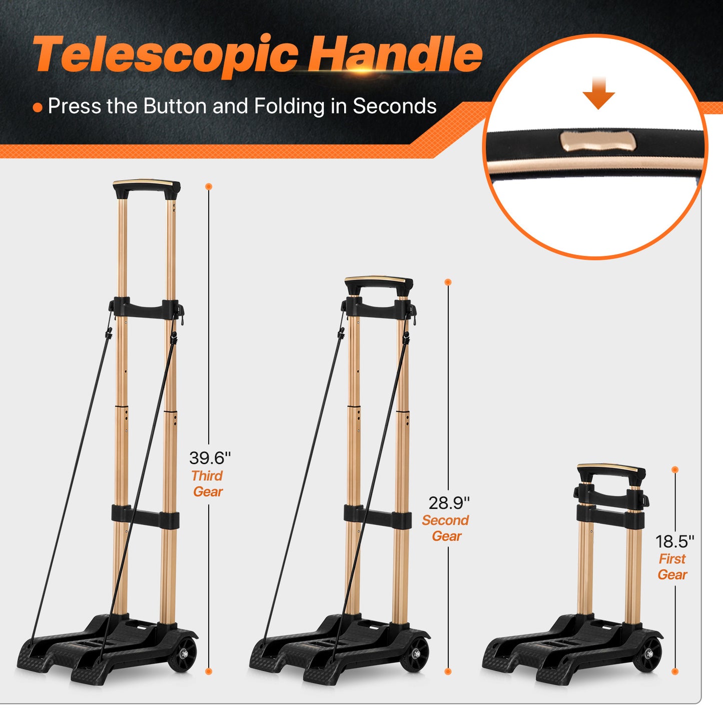 Folding Trolley w/Detachable Bag & Belt - None Front Wheel