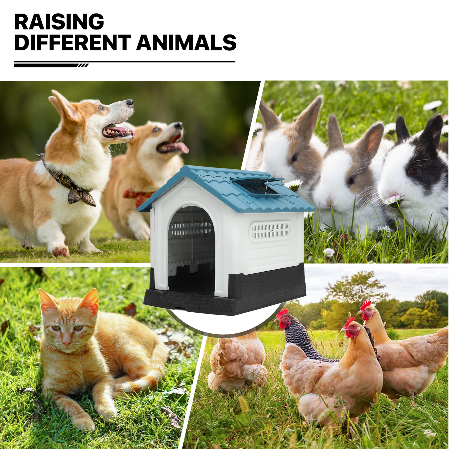 Plastic Dog House - with Adjustable Skylight, Elevated Base