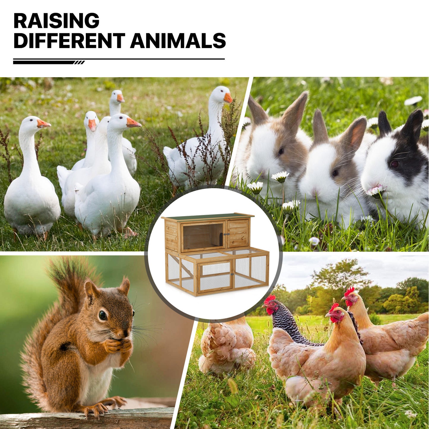 Wooden 2-Tier Chicken Coops Hutch