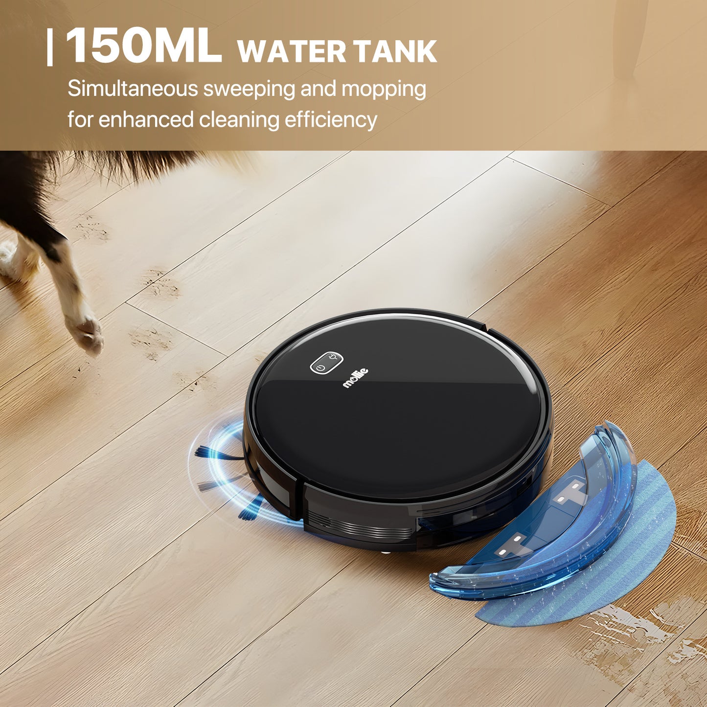 Robot Vacuum - 500ml Dustbin - 150ml Water Tank - w/Dry Mop+Remote Control - Black