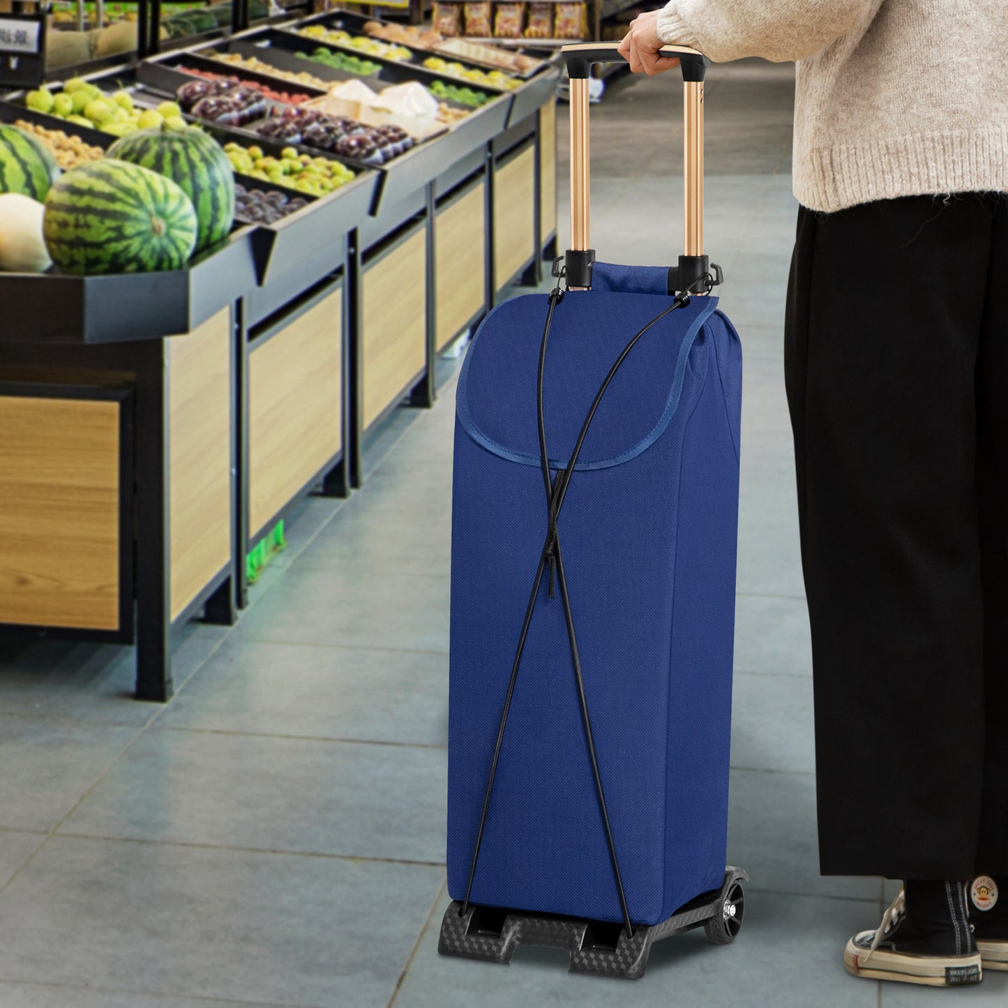 Folding Trolley w/Detachable Bag & Belt - None Front Wheel
