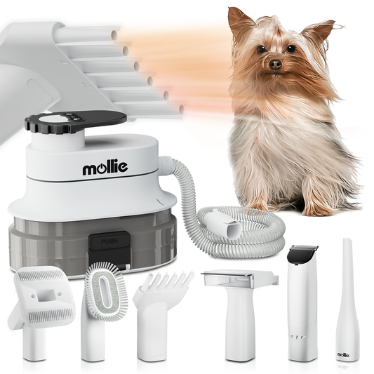 Pet Grooming Vacuum Kit - Blow & Vacuum - 300W, 3 Gear Speed, 6 Nozzles, 4L Dust Cup