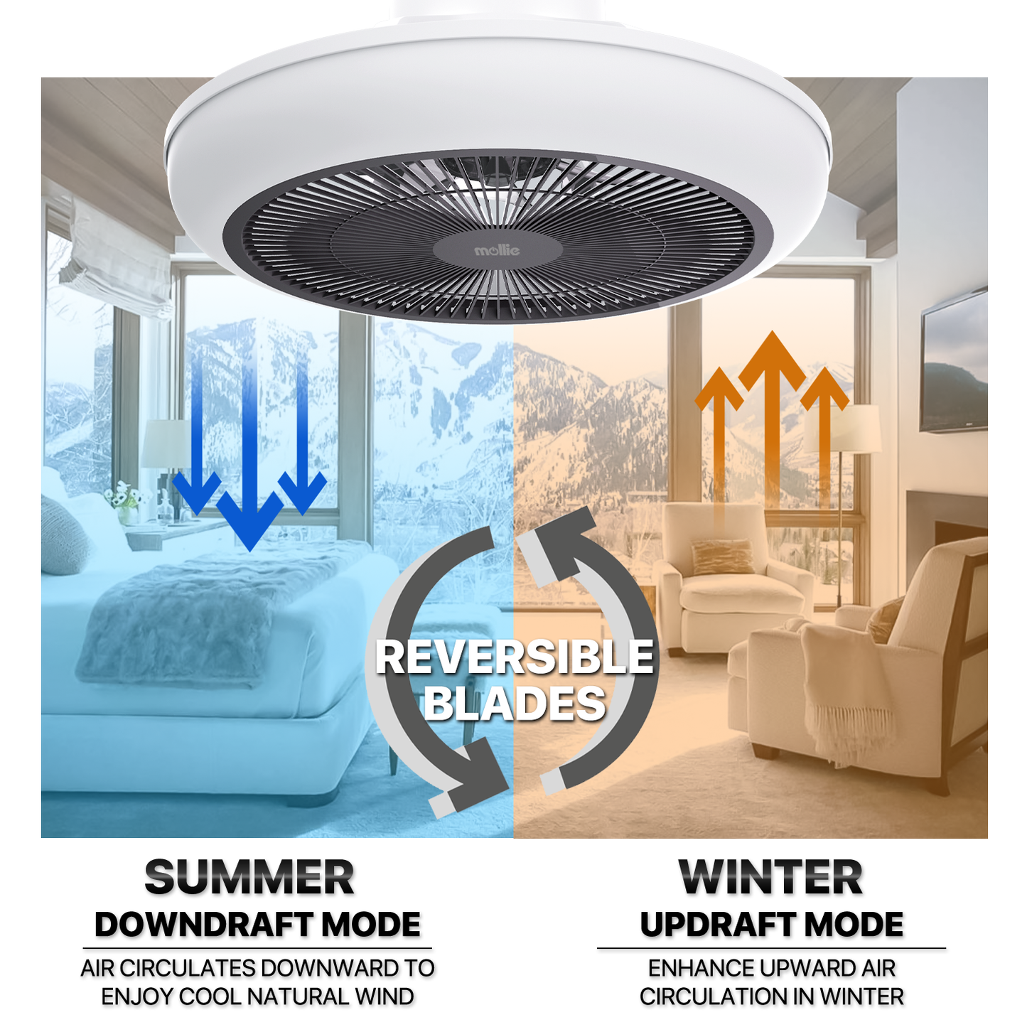 18"  Ceiling Fan - Bluetooth Control -Music Speaker - Variable Lighting Illusion