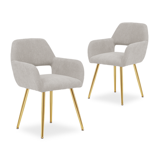 2 Pieces Dining Chair - Modern & Elegant Armchair