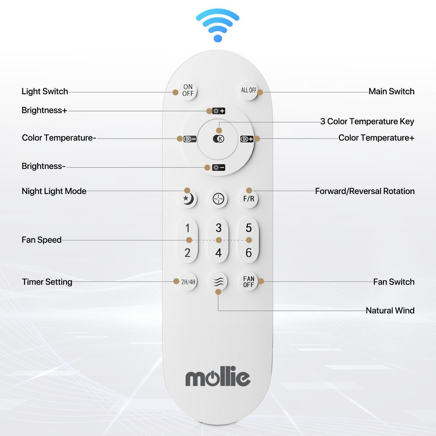 17.5" Lighting Ceiling Fan - Remote Control