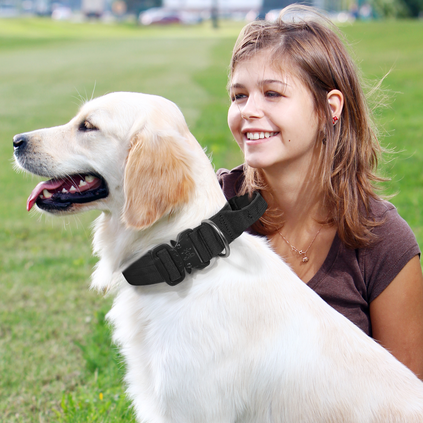 Dog Collar - w/ Handle - 18''to 25'' Adjustable Length