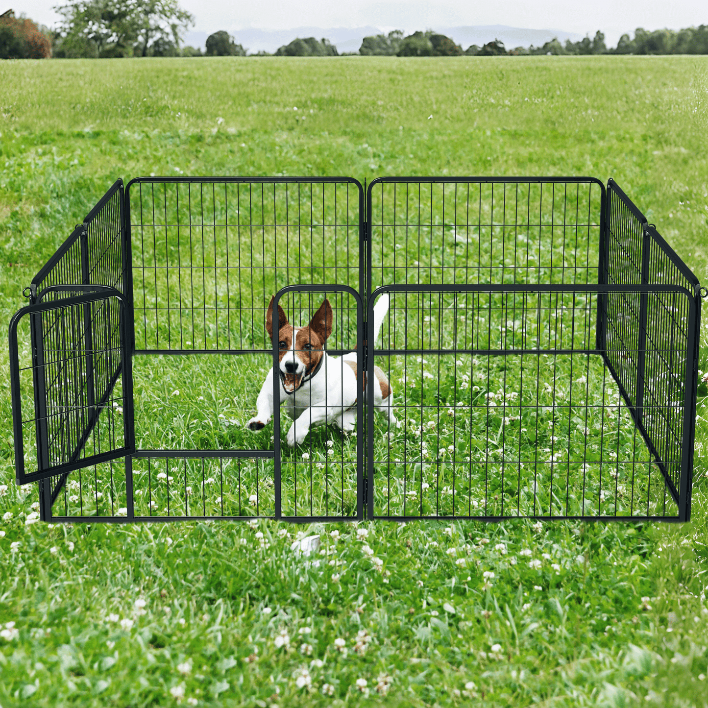 Dog Playpen - 8 Panel - Each 30.5''Length 24''Height - Black