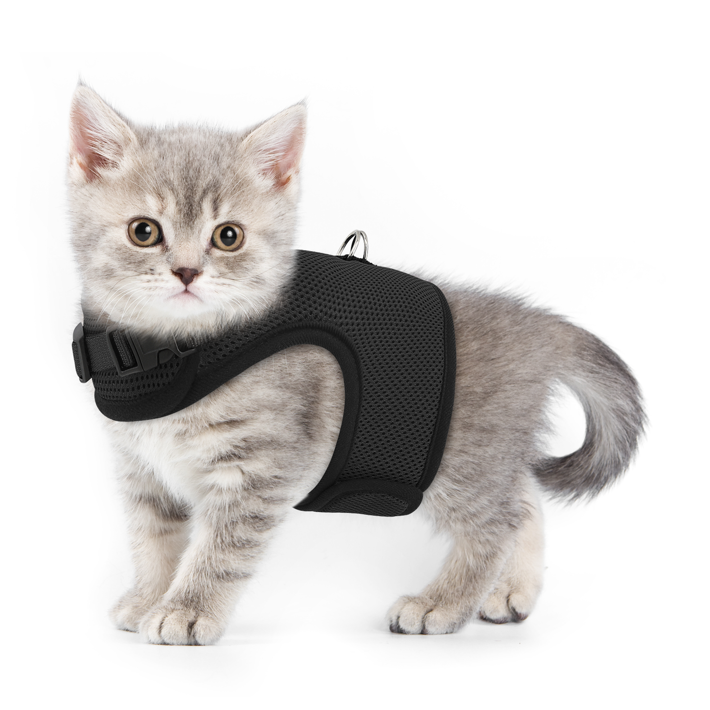 Mesh Cat Harness