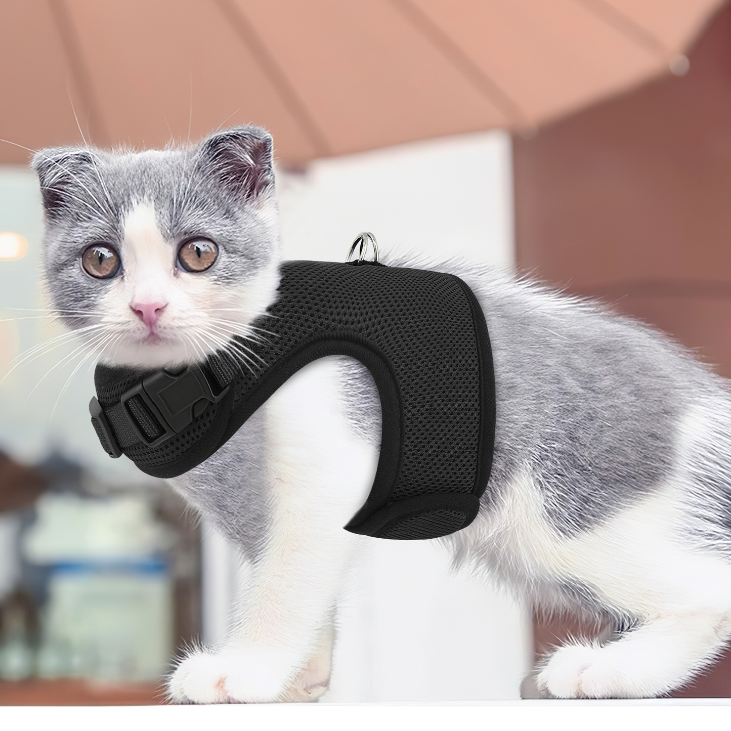 Mesh Cat Harness