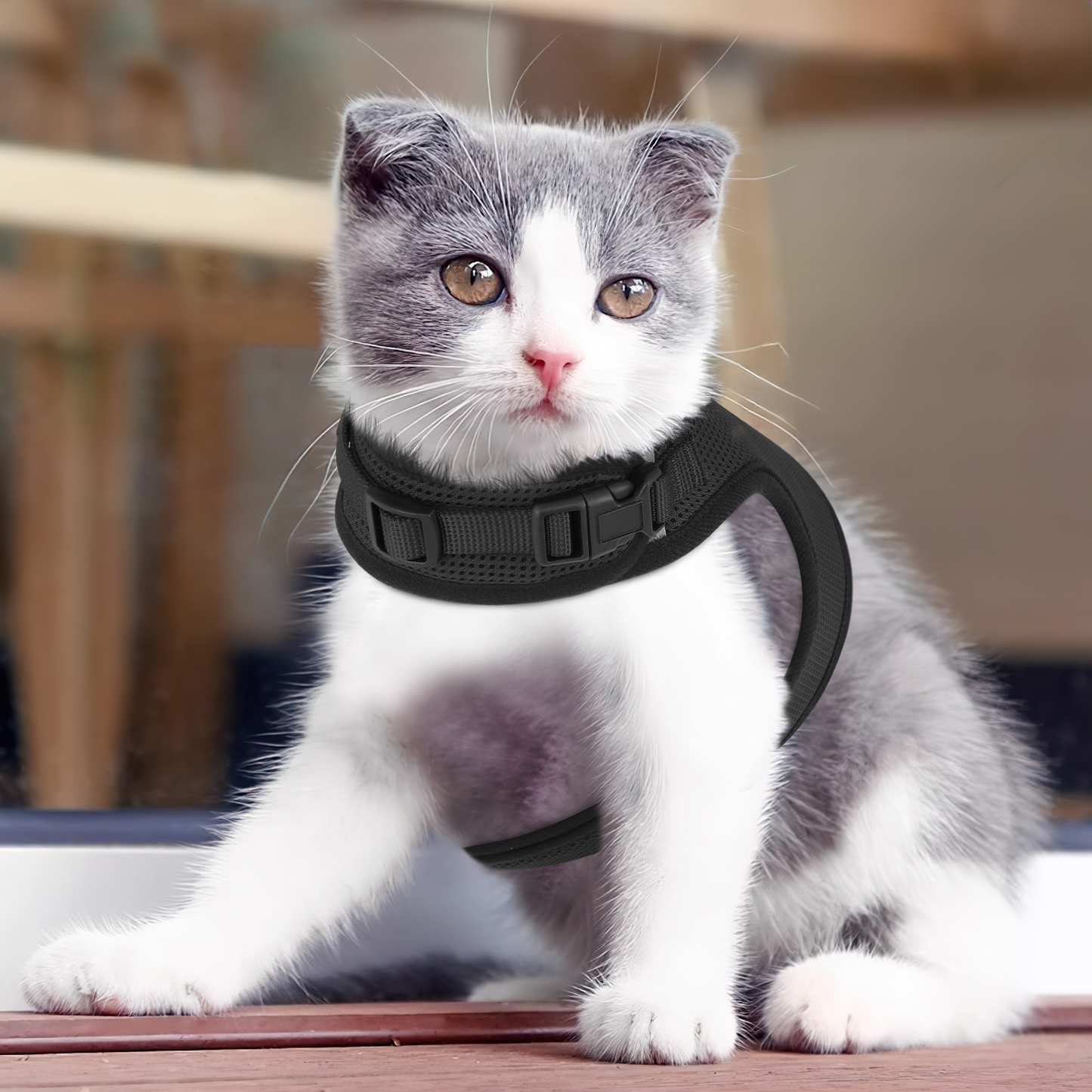 Mesh Cat Harness