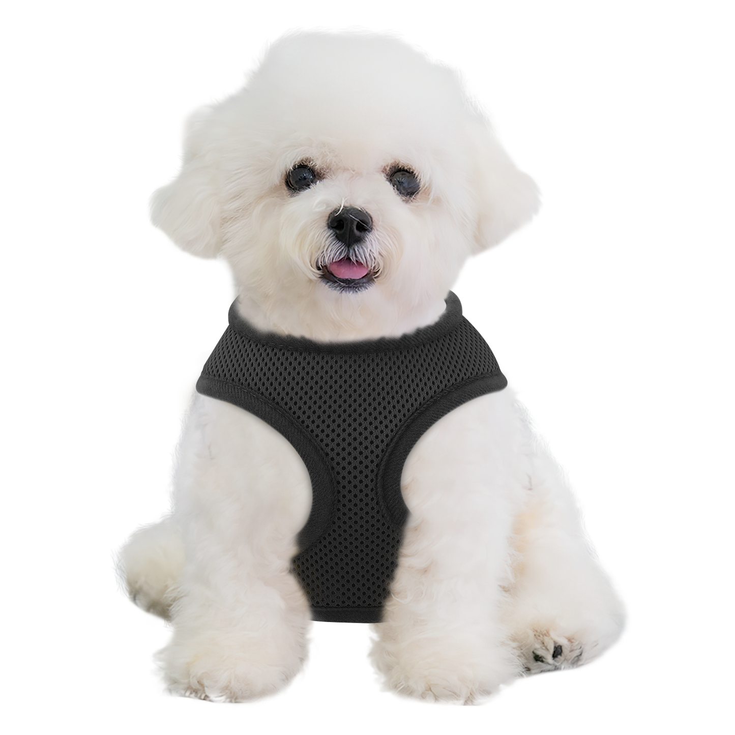 Mesh Dog Harness