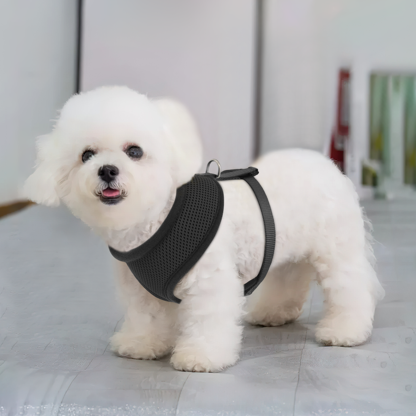 Mesh Dog Harness