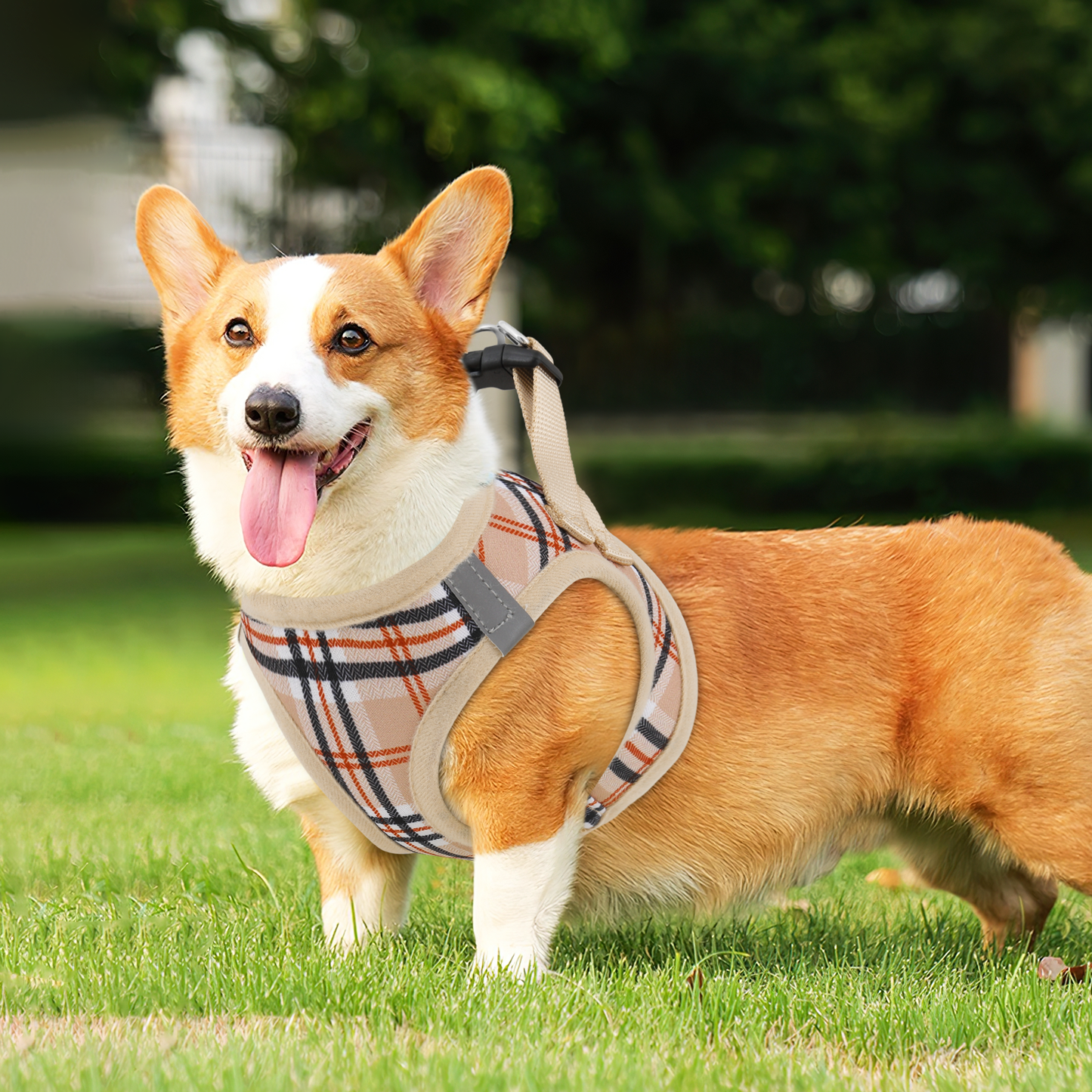 Dog Harness - w/ 5 ft Leash - Plaid Pattern+Reflective Strips