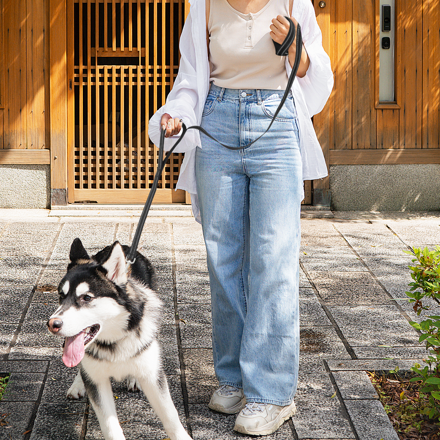 5 ft Reflective Strips Dog Leash - w/ 2 Handles