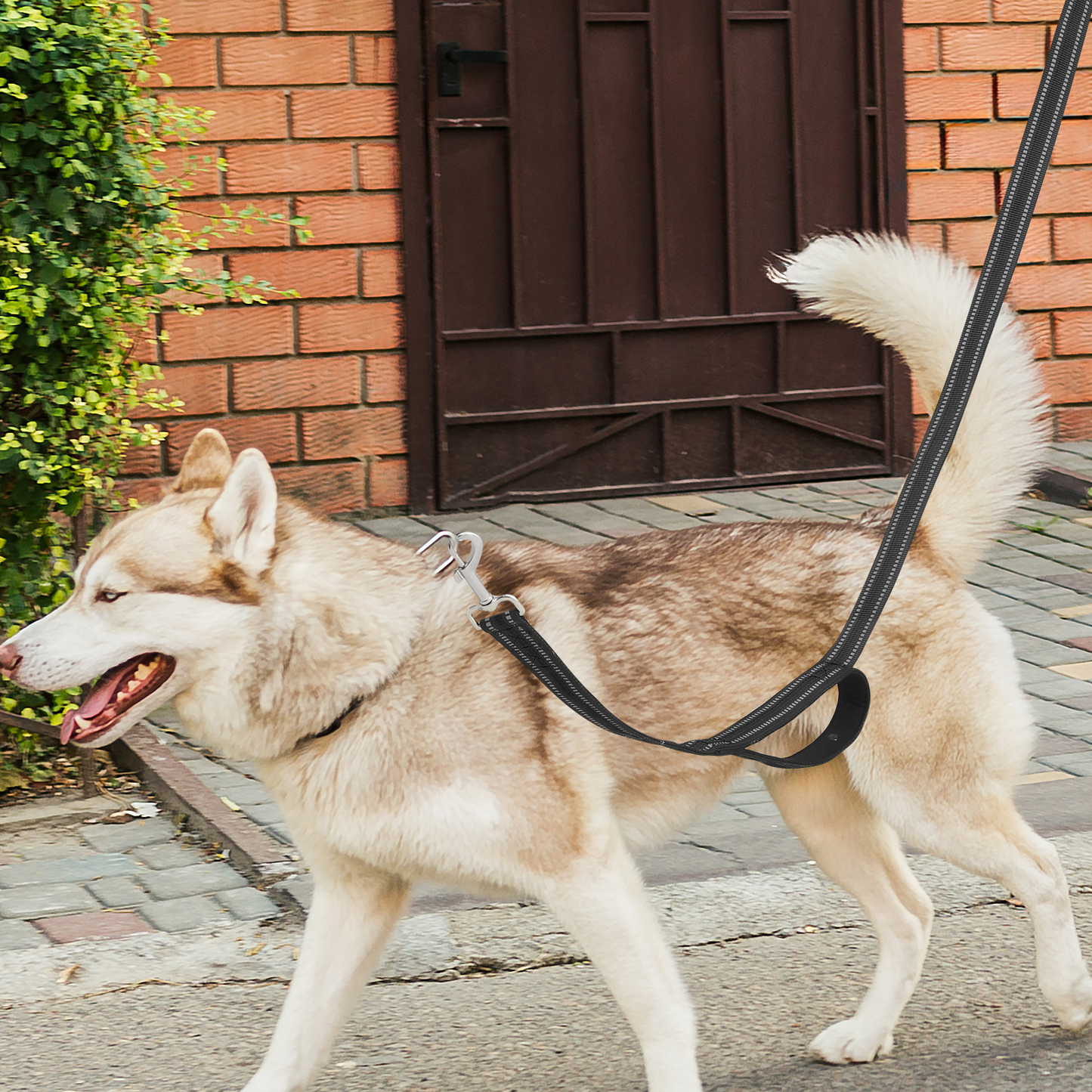 5 ft Reflective Strips Dog Leash - w/ 2 Handles