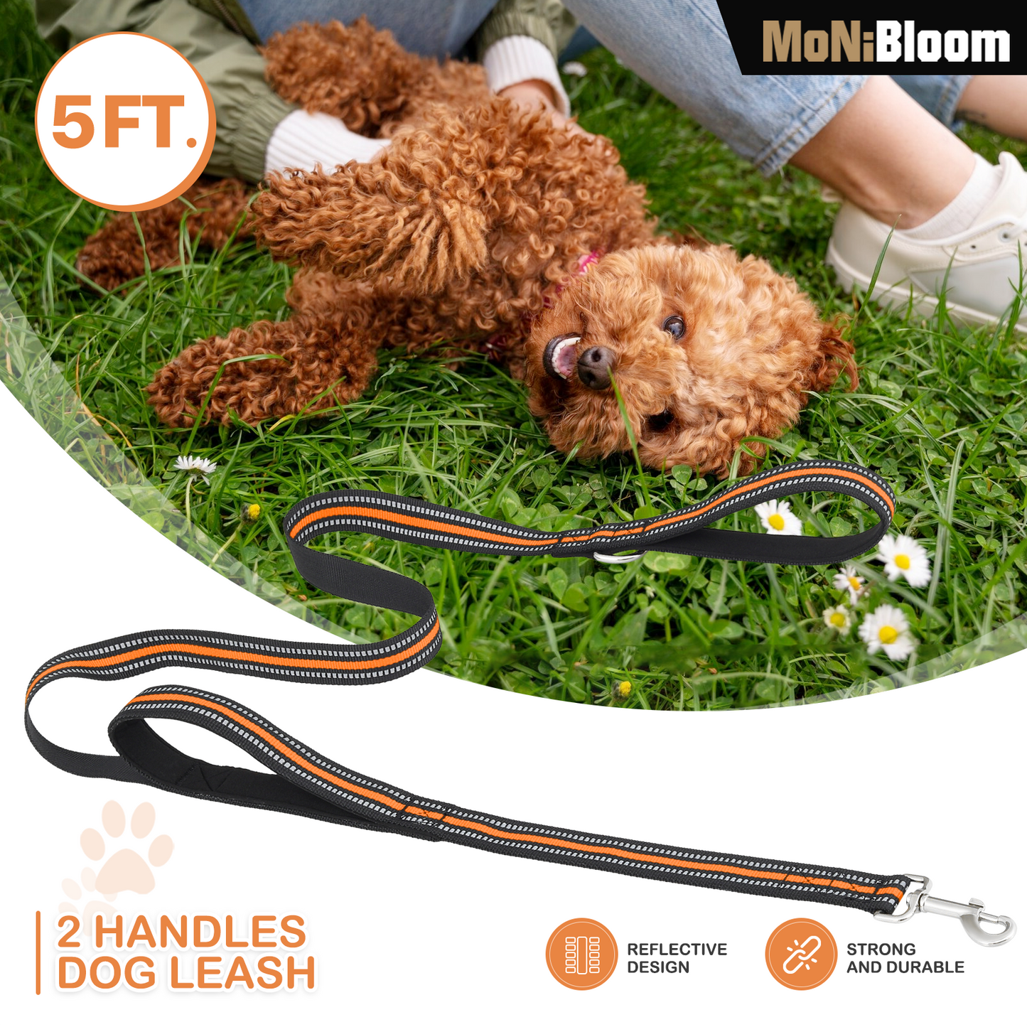 5 ft Reflective Strips Dog Leash - w/ 2 Handles