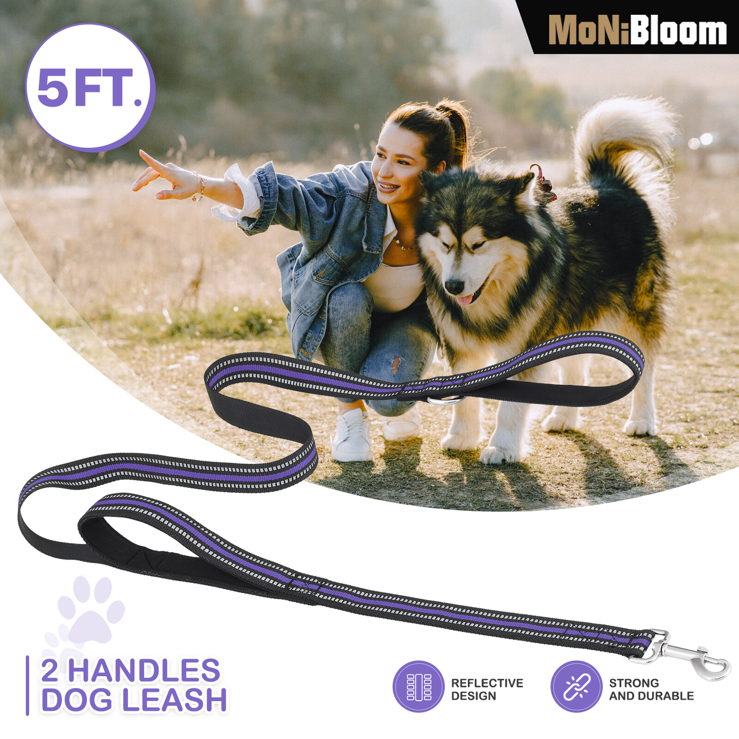 5 ft Reflective Strips Dog Leash - w/ 2 Handles