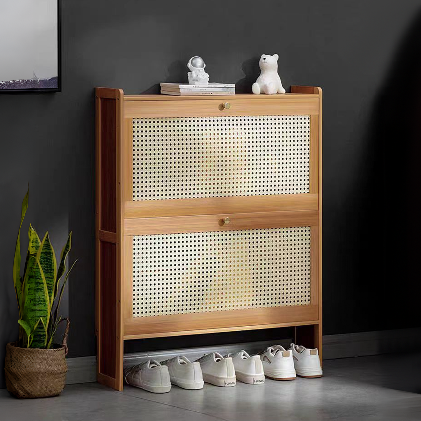 Thin Shoe Storage 30 lbs Capacity - 4 Tiers - (L)27.0in. (W)7.0in. (H)34.0in.