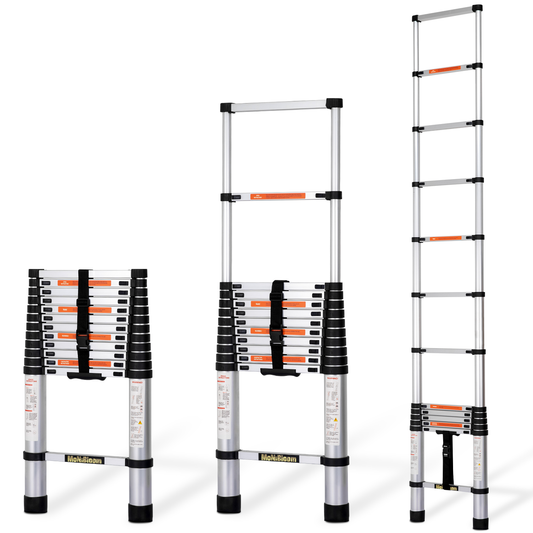Telescoping Ladder - 13 Steps 12.5 ft/150.0", Black/Siiver