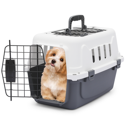 18 Inch Pet Plastic Travel Carrier - Up to 10 lbs