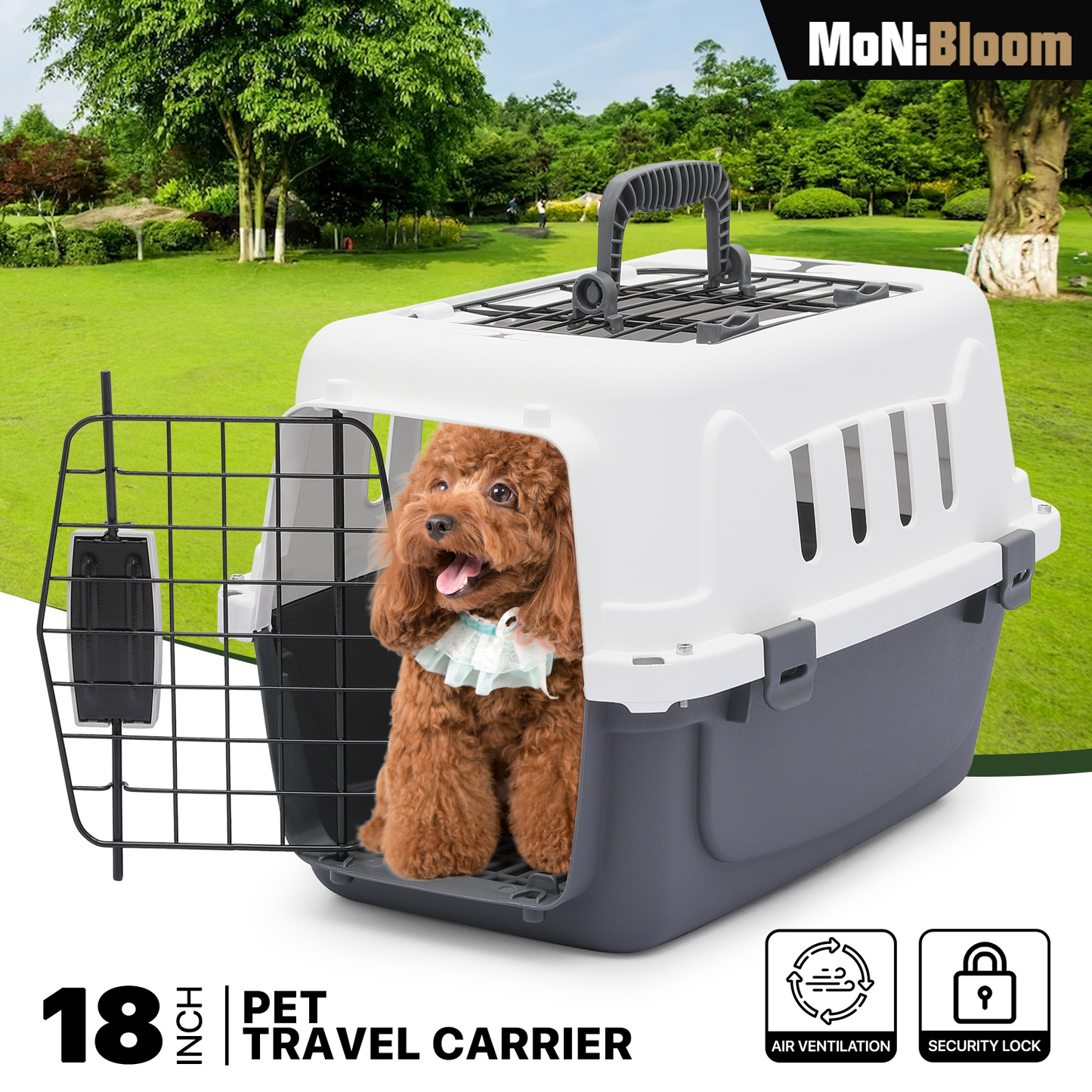 18 Inch Pet Plastic Travel Carrier - Up to 10 lbs