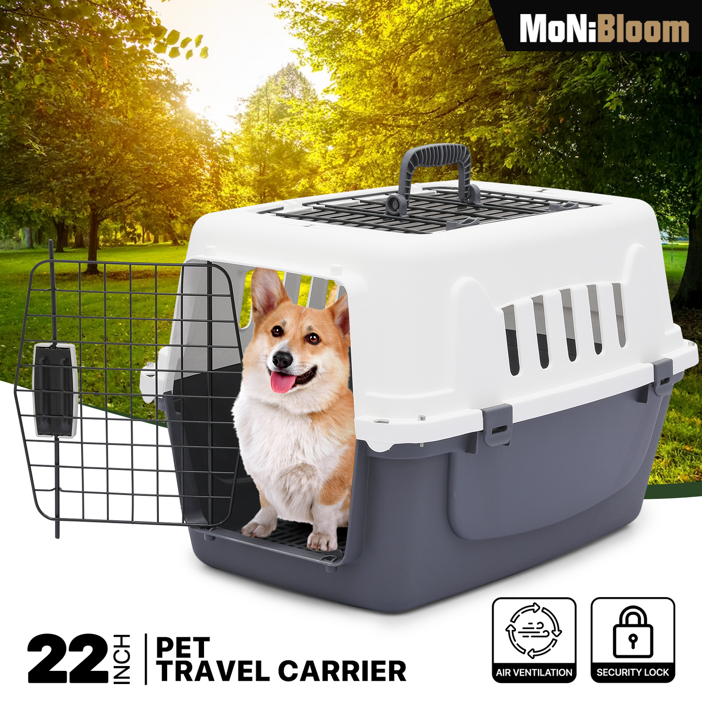 22" Pet Hard Sided Travel Carrier