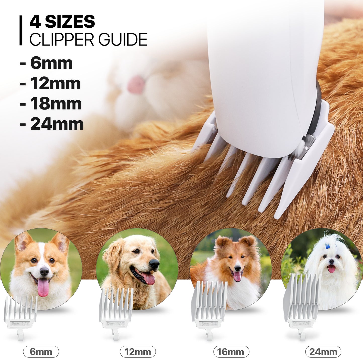 Pet Grooming Vacuum Kit - Blow & Vacuum - 300W, 3 Gear Speed, 6 Nozzles, 4L Dust Cup