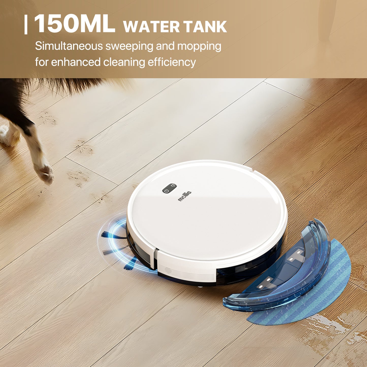 Robot Vacuum - 500ml Dustbin - 150ml Water Tank - w/Dry Mop+Remote Control - White
